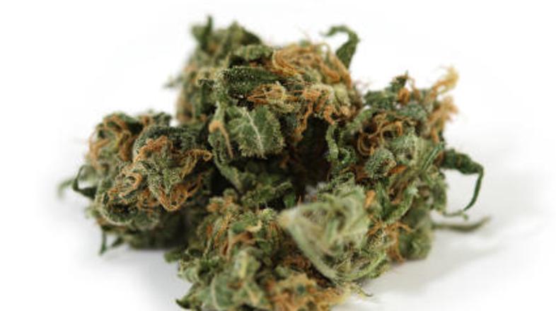 Kmetje v Afganistanu se zaradi požiganja polij opija preusmerjajo na gojenje mar