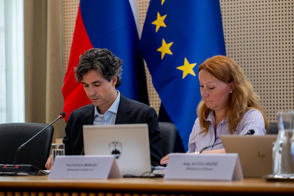 seja ekonomsko socialnega sveta Luka Mesec | Avtor: Katarina Fišer/KPV