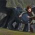 Zmaj dragon