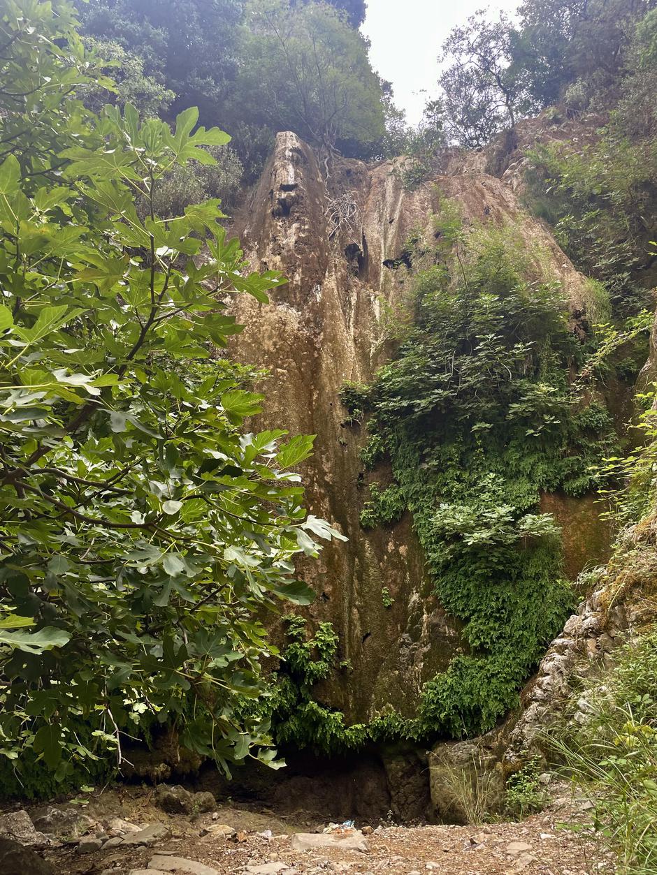 Krf | Avtor: Žurnal24 