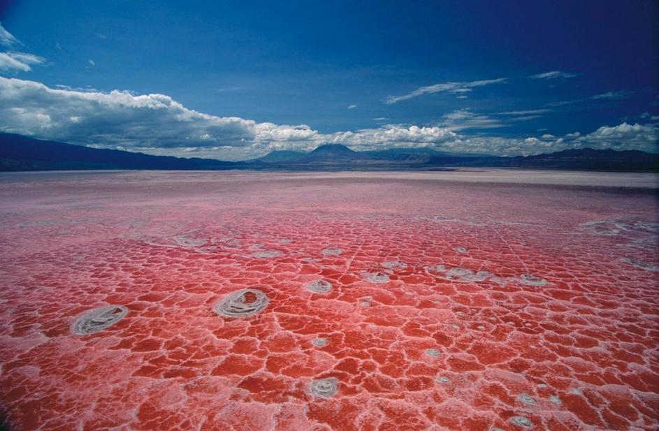 Lake Natron, Tanzanija