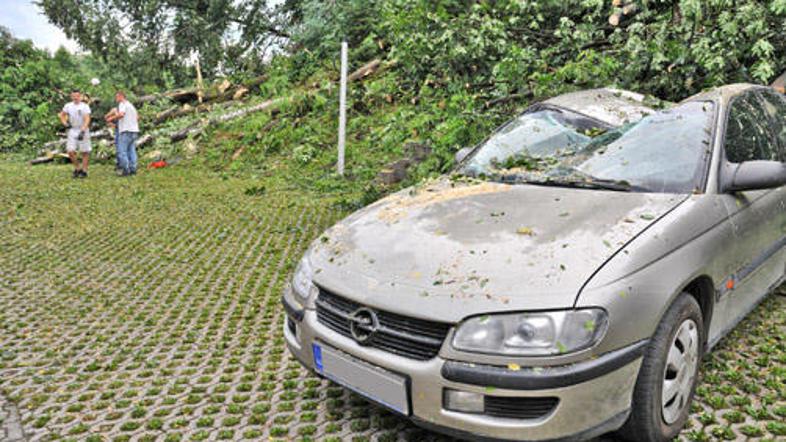 neurje15_anpe_slo_130708