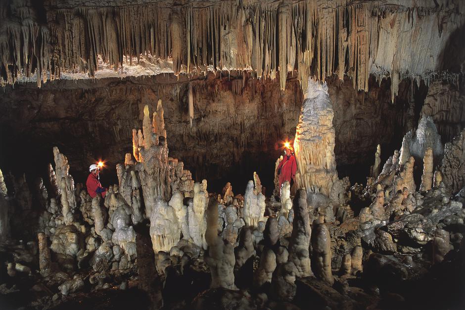 Postojnska jama | Avtor: foto arhiv Zeleni Kras