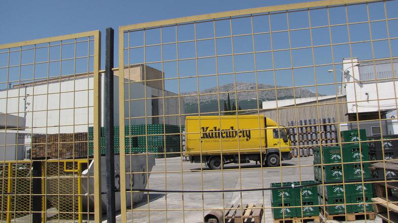 (Foto: Aleksandar Lukić)