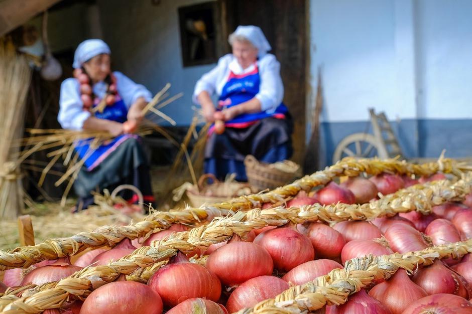 ptujski luk | Avtor: arhiv Skupina vrtovi panonski