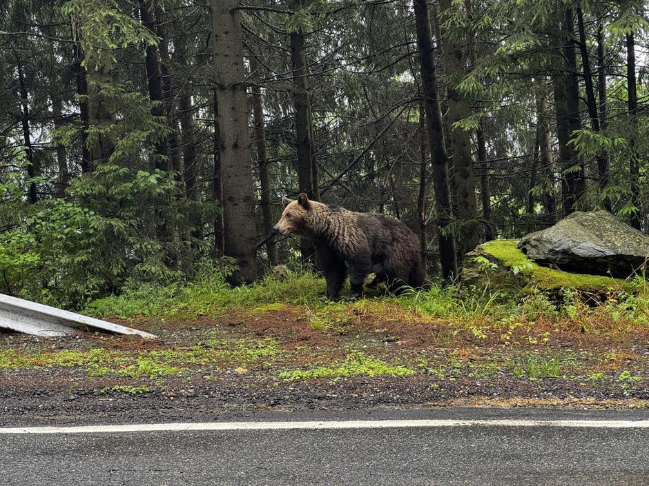 Opel grandland | Avtor: Andrej Leban