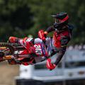 Tim Gajser