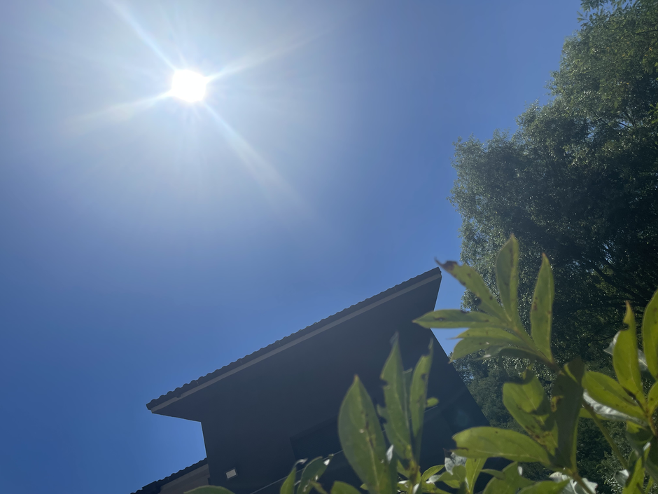 Sonce | Avtor: A. Š.