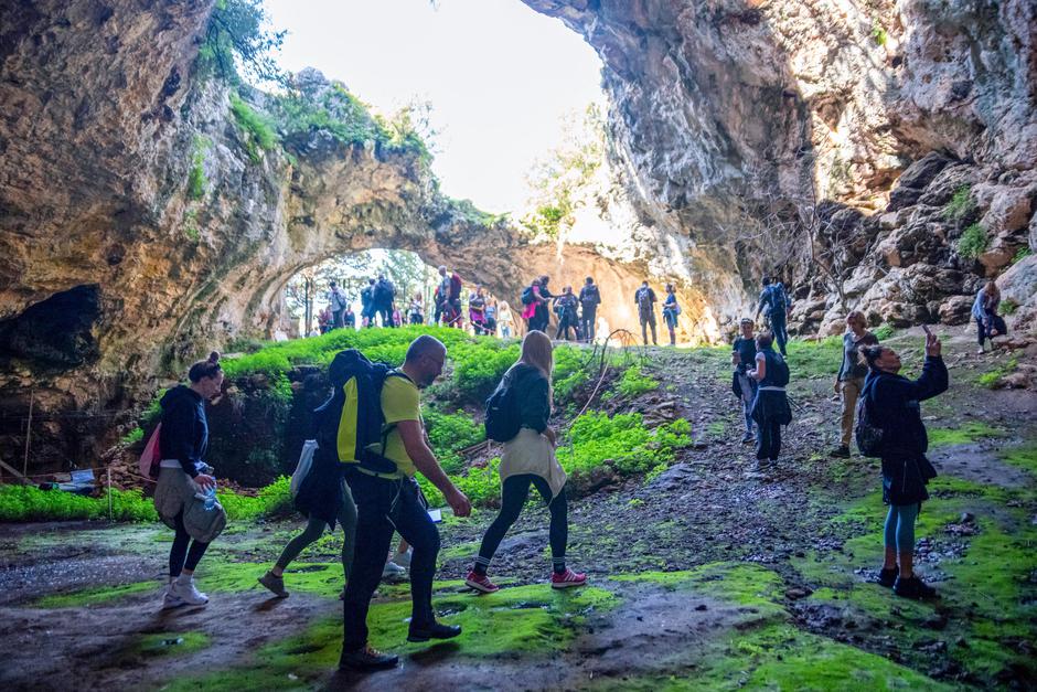  | Avtor: Frlan Media