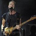 sting