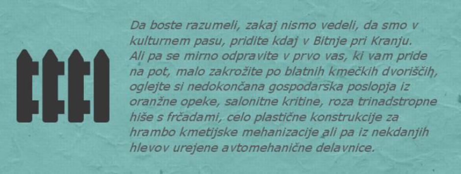 Citati | Avtor: Maja Kalan