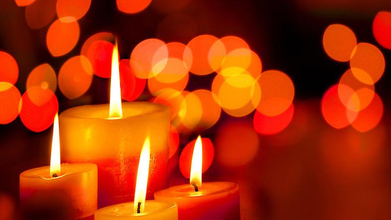 (Foto: Shutterstock)