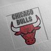 Chicago Bulls