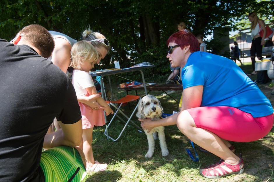 tačke pomagačke | Avtor: Anže Petkovšek
