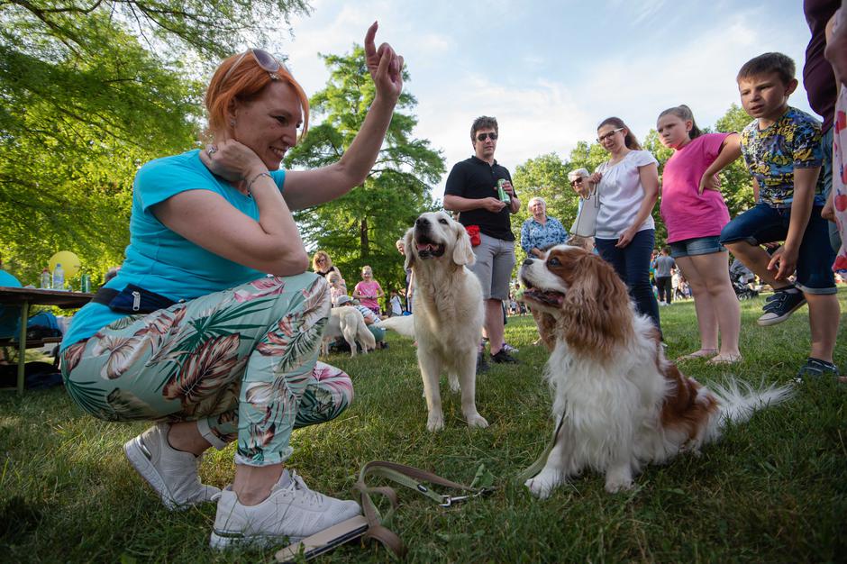 sejem | Avtor: Anže Petkovšek