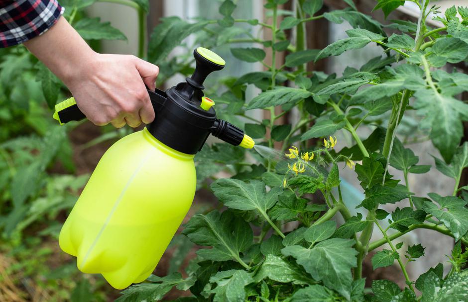 škropljenje po listih | Avtor: Profimedia