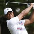 tiger woods