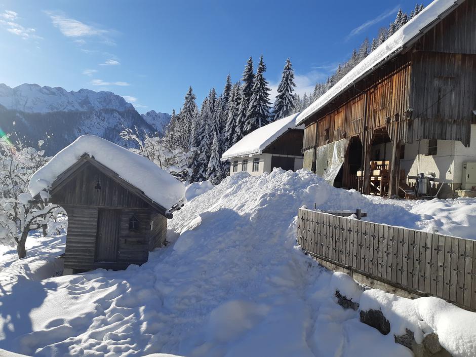 Združenje turističnih kmetij Slovenije | Avtor: Združenje turističnih kmetij Slovenije