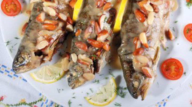 (Foto: Shutterstock)