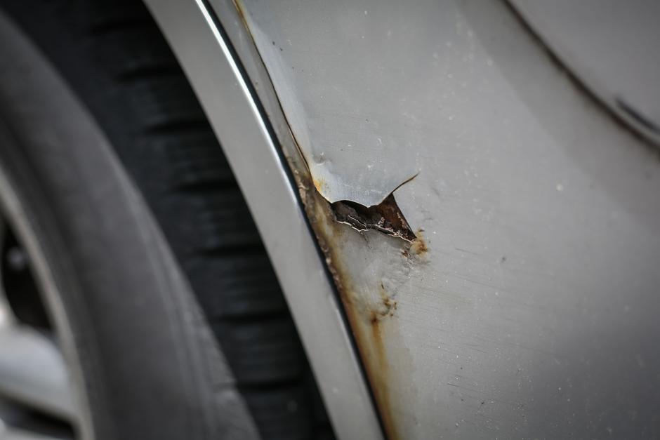 rja | Avtor: Saša Despot