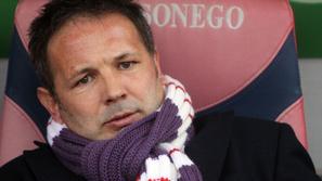 siniša mihajlović fiorentina