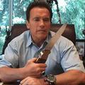 Arnie je leta 2004 in 2005 "pozabil" plačati za okoli 80.000 dolarjev dohodnine.