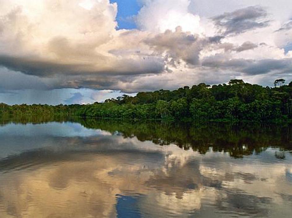 Gre za eno najhujših katastrof, ki zadeva onesnaževanje okolja. V Ekvadorju bele