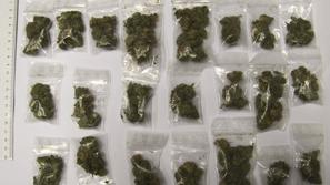 Zasežena marihuana