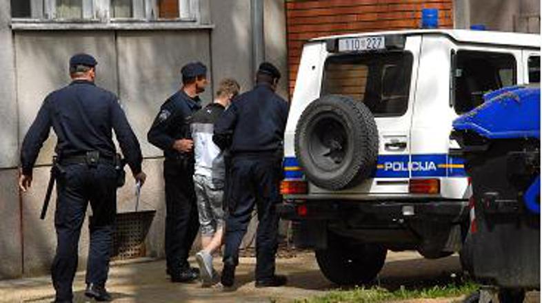 Slavonski brod, voznik 