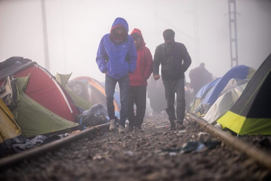 Begunci v Idomeni | Avtor: EPI