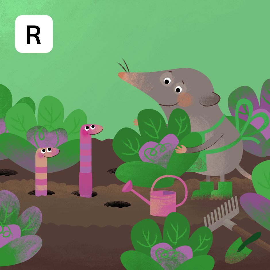 Rovkin radič | Avtor: Tanja Semion