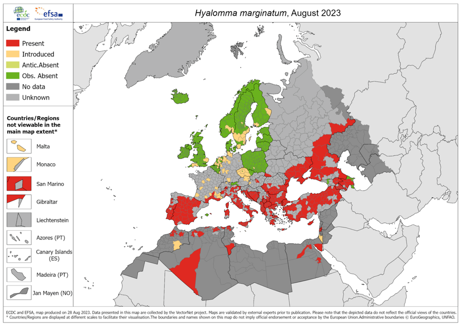 pojav klopa | Avtor: ECDC