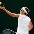 Flipkens Wimbledon tenis OP Anglije grand slam