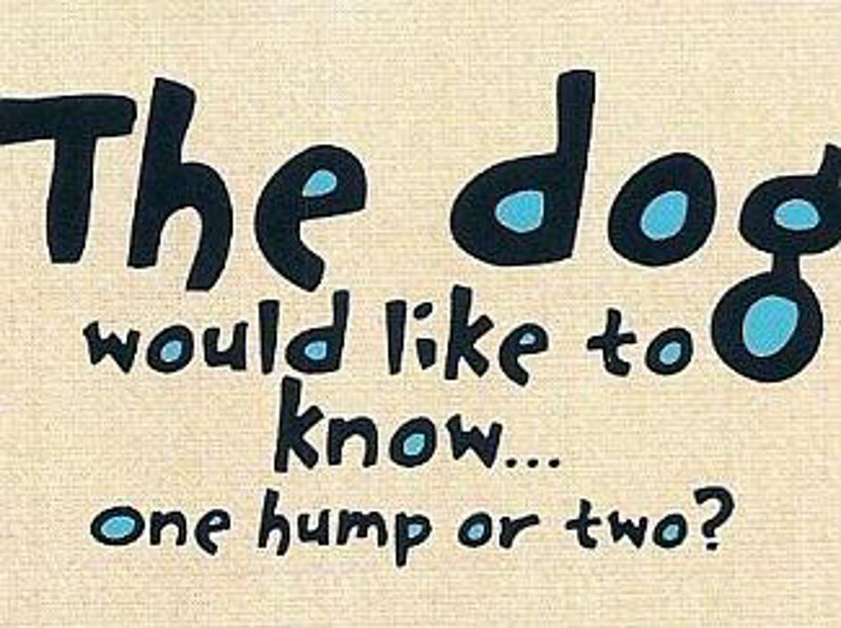 Se že smejite ob misli, kaj vas čaka za vrati?