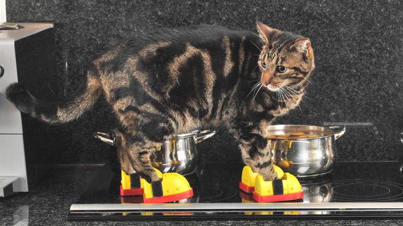 maček škornji štedilnik