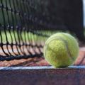 teniška žogica tenis