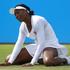 Venus Williams