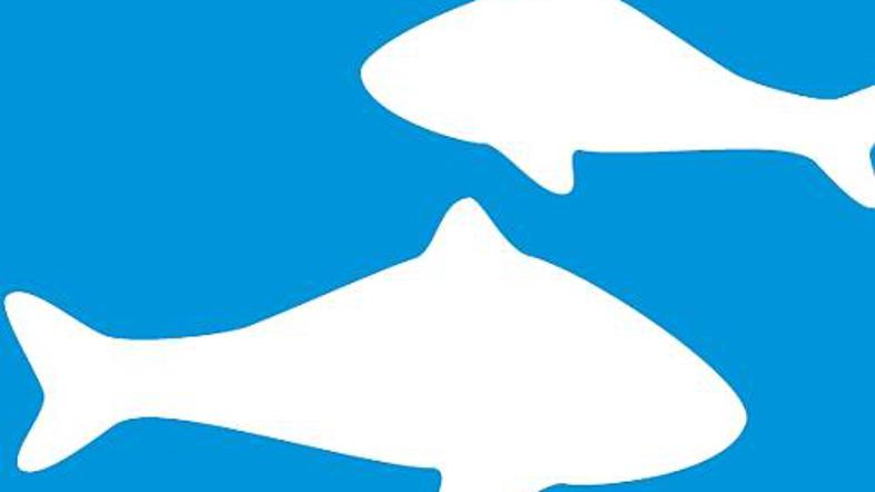 Ribe obožujejo vodo in to doma težko skrijejo.