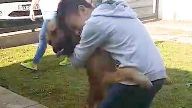 Srečanje med psom in dečkom