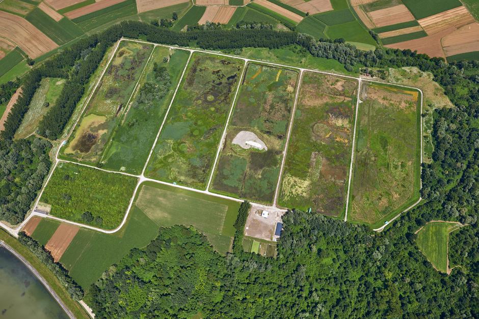 Ormoška laguna | Avtor: DOPPS