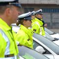 Policija je lahko zadovoljna s svojim delom v lanskem letu. (Foto: Dejan Mijović