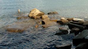 Poplavljeni bodo nižji urbani deli obale. (Foto: Barbara Milavec)