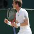 Andy Murray Wimbledon finale 