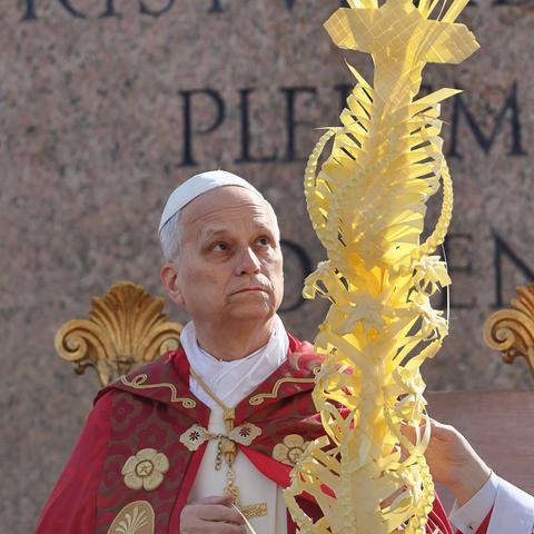 Papež Leon XIV, cvetna nedelja