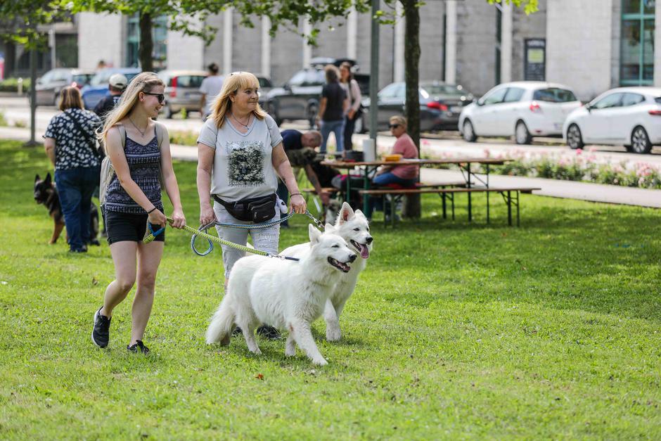 Festival za ljubitelje živali 2023 | Avtor: Saša Despot