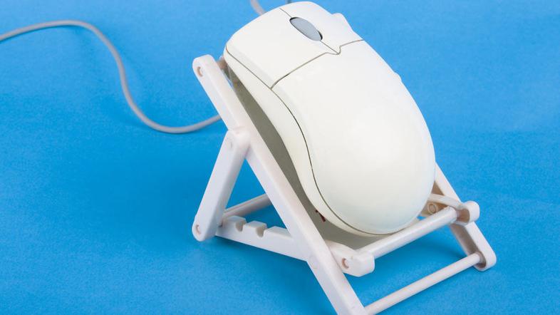 Tudi miška je na dopustu. (Foto: Shutterstock)