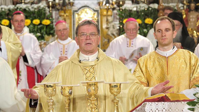 stanislav lipovšek, ustoličenje