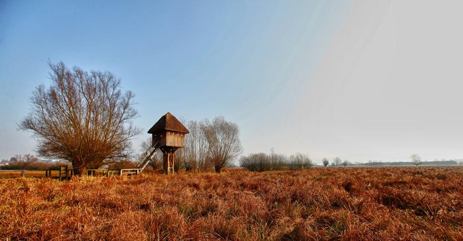 Naravni park Jovsi | Avtor: TIC Brežice