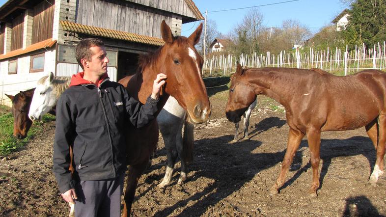 Skrbnik konjev Matjaž Emeršič pravi, da je tem konjem kljub blatu lepše kot tist