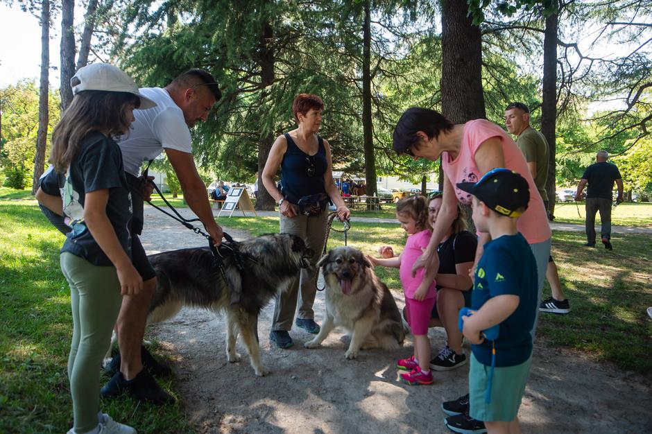 Festival za ljubitelje žiivali | Avtor: Anže Petkovšek